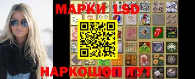 2c-b Кингисепп