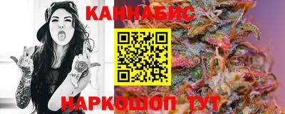 прущие грибы Кандалакша
