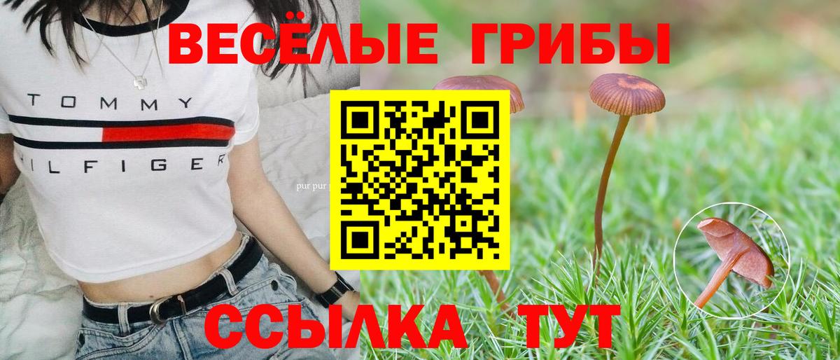 Псилоцибиновые грибы Magic Shrooms  Вход с VPN  Канаш 